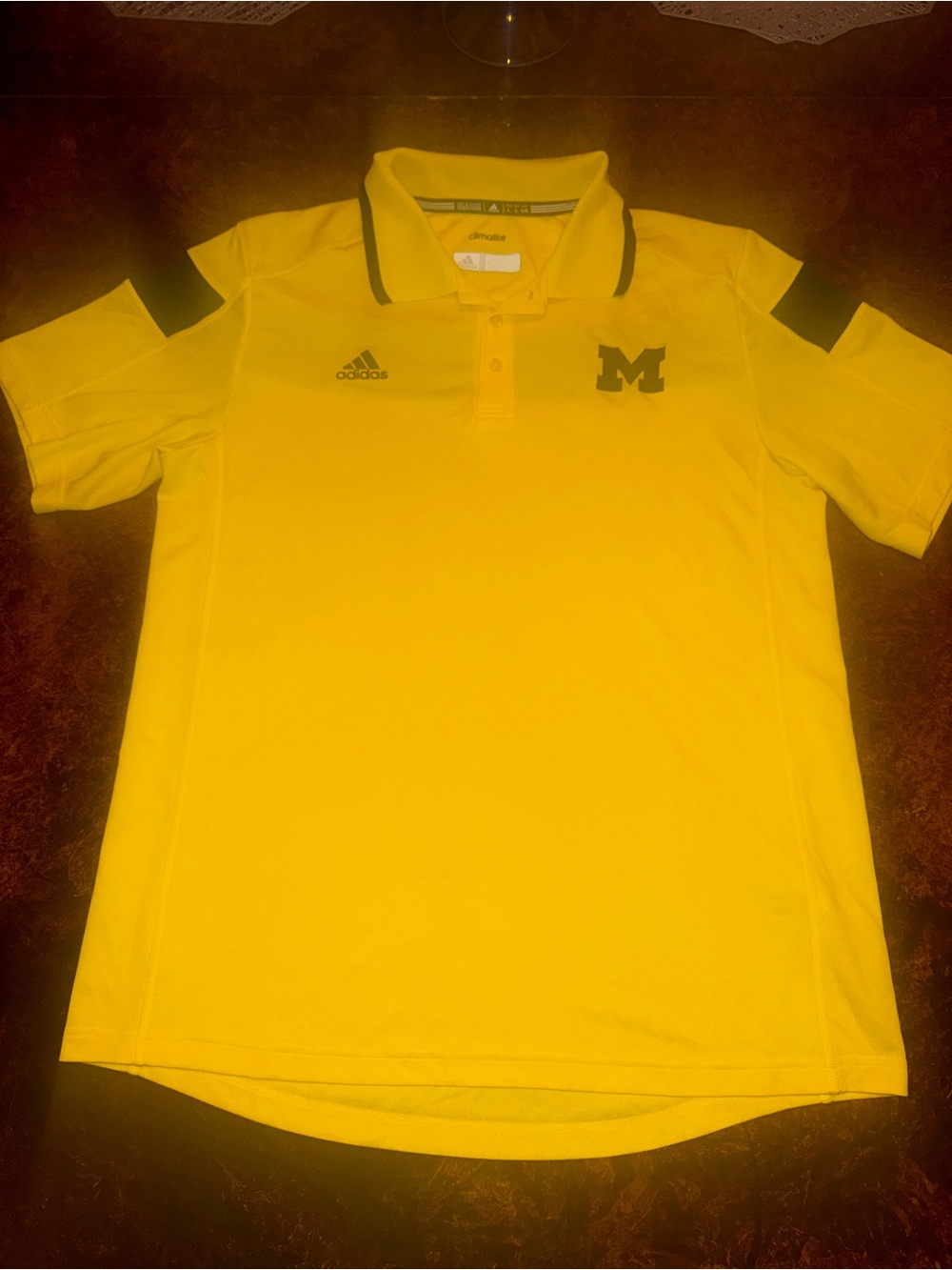 Michigan wolverines polo size large